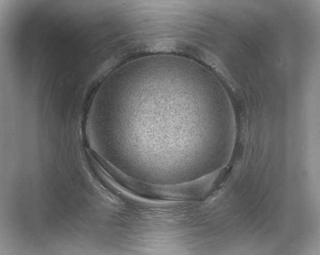 X0000068810681200605081120