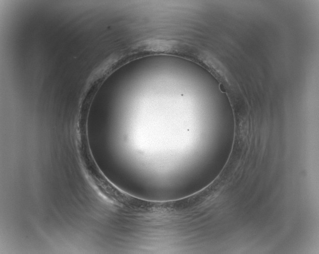 X0000068810682200605081120