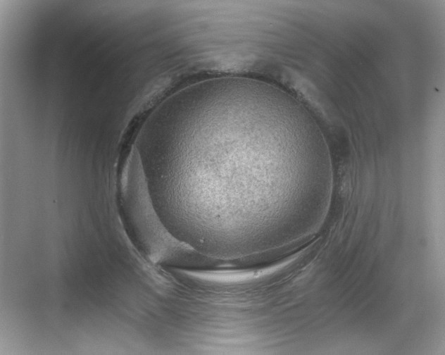 X0000068810685200605081120