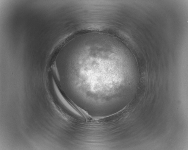 X0000068810688200605081120