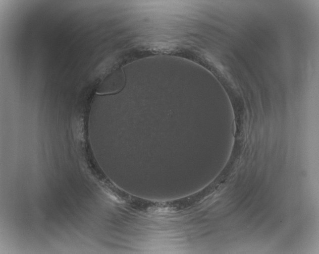 X0000068810689200605081120