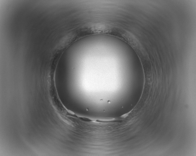 X0000068810690200605081120