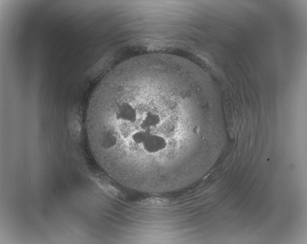 X0000068810691200605081120