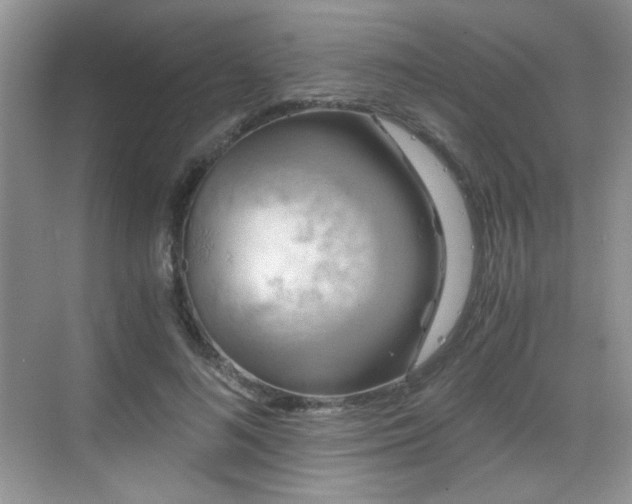 X0000068810692200605081120