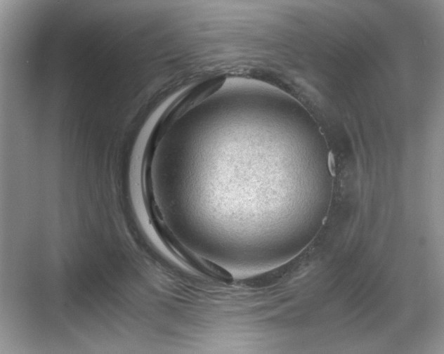 X0000068810693200605081120