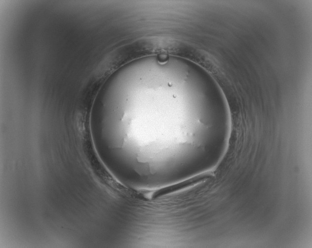 X0000068810695200605081120