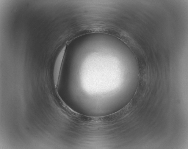 X0000068810696200605081120