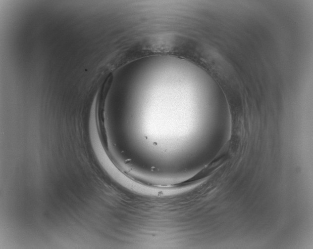 X0000068810697200605081120