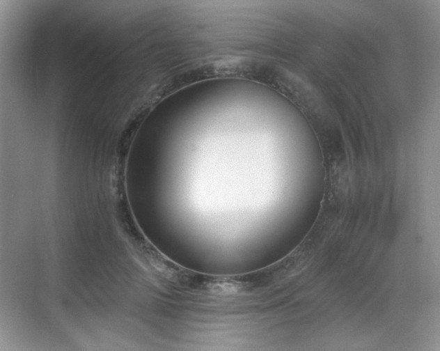 X0000068810698200605081120