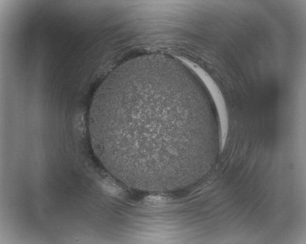 X0000068810699200605081120