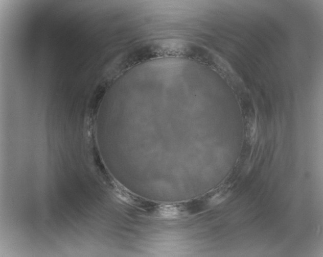 X0000068810701200605081120