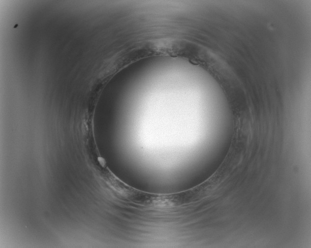 X0000068810702200605081120