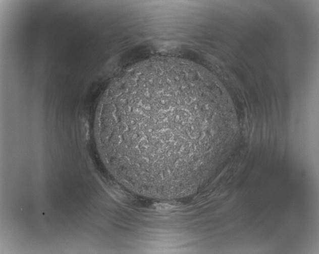 X0000068810703200605081120