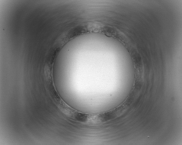 X0000068810705200605081119