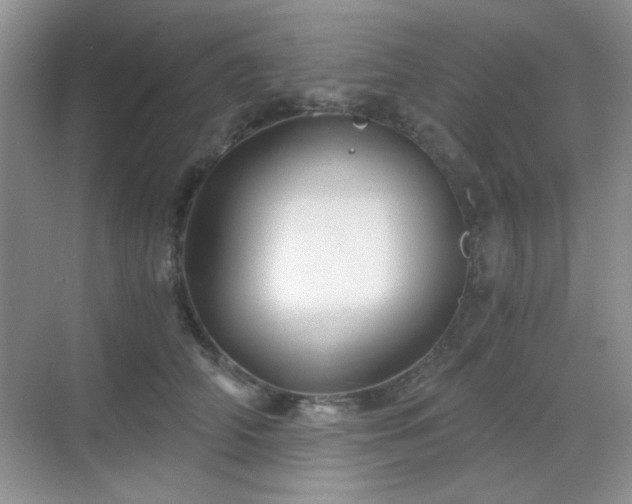 X0000068810706200605081119