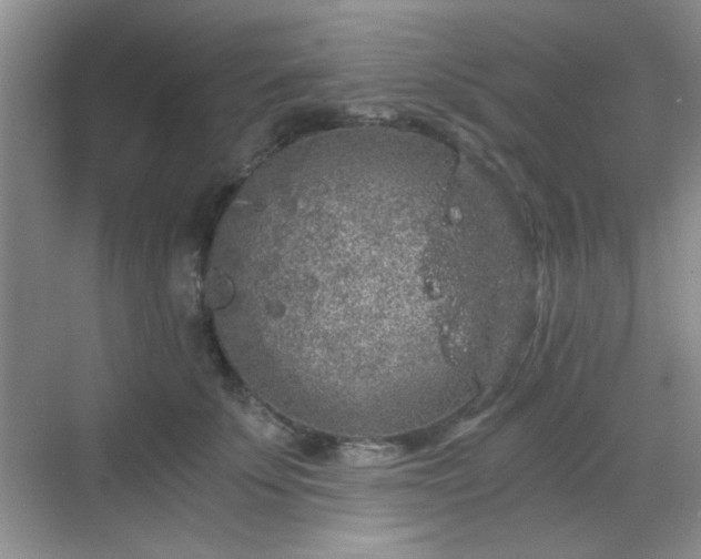 X0000068810707200605081119