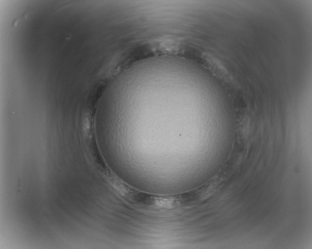 X0000068810709200605081119