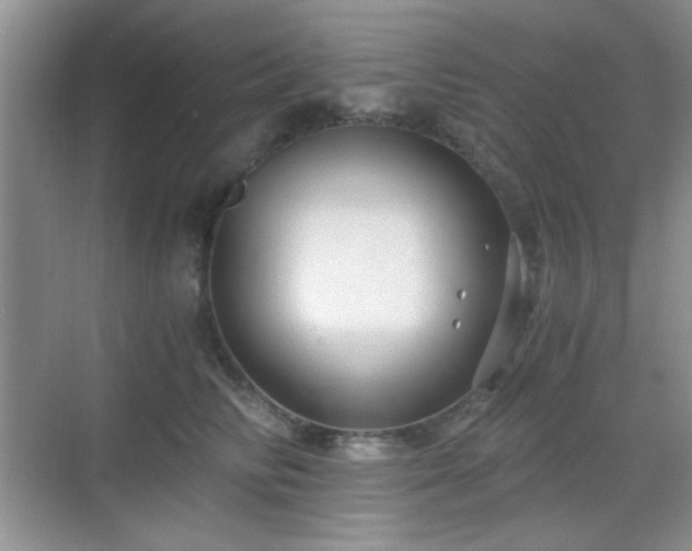 X0000068810710200605081119