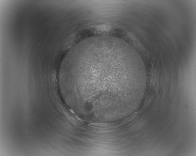 X0000068810711200605081119