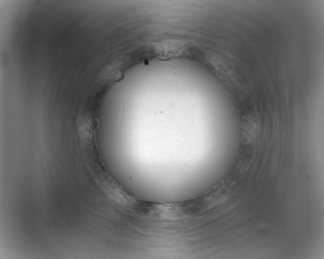 X0000068810713200605081119