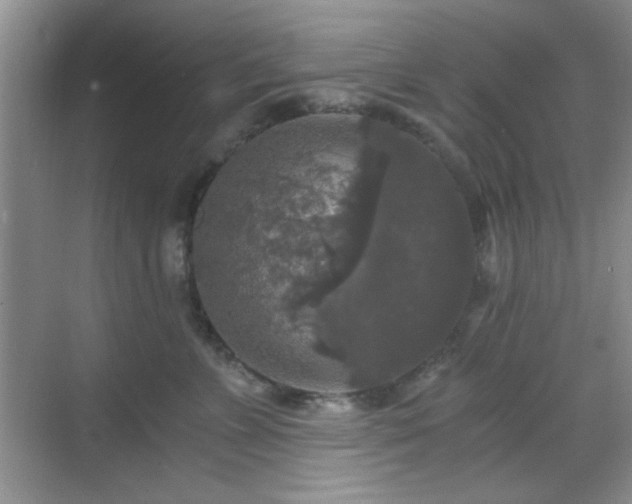 X0000068810715200605081119