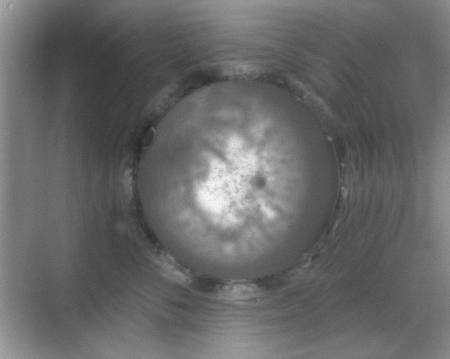 X0000068810716200605081119