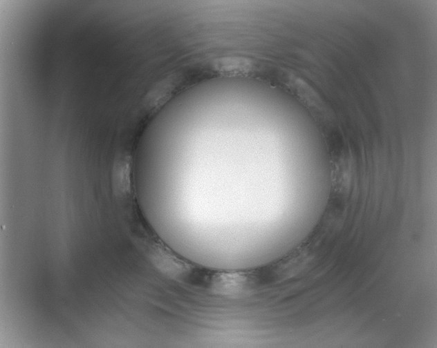 X0000068810717200605081119