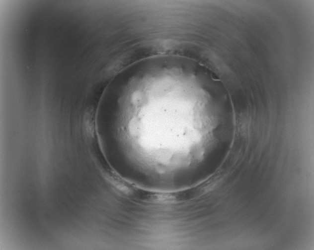 X0000068810719200605081119