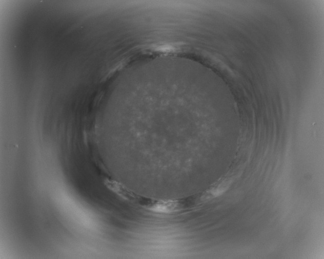 X0000068810720200605081119