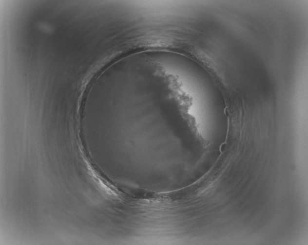 X0000068810721200605081118