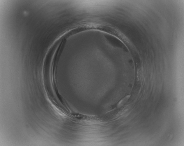 X0000068810722200605081118