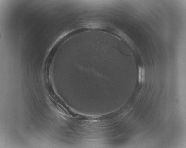 X0000068810723200605081118