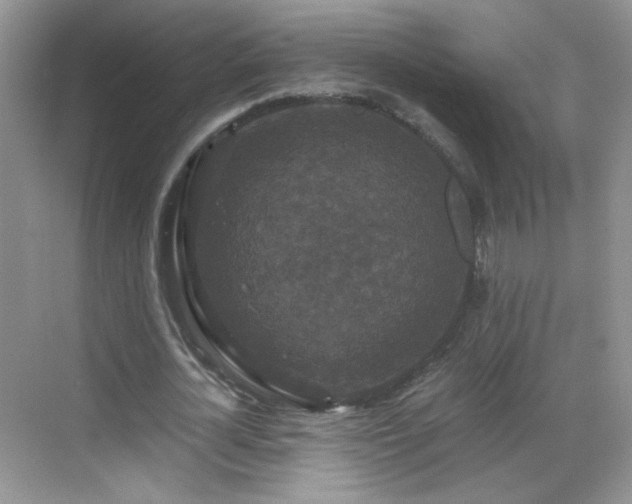 X0000068810724200605081118