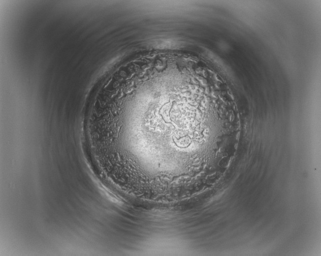 X0000068810725200605081118