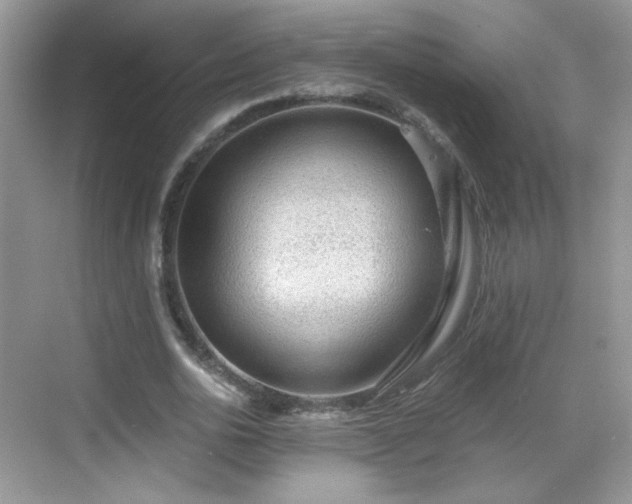 X0000068810726200605081119