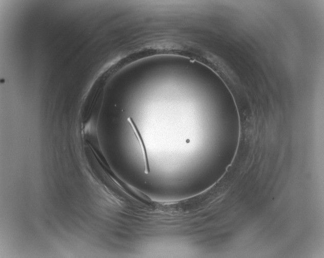 X0000068810727200605081119