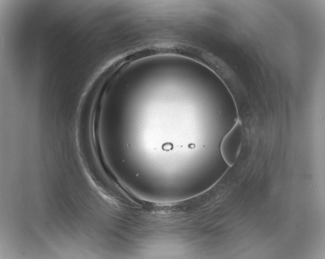 X0000068810728200605081119