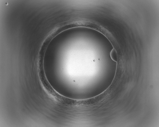 X0000068810730200605081119