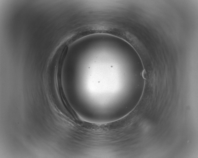 X0000068810731200605081119