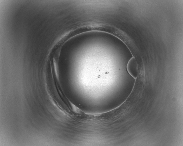 X0000068810732200605081119