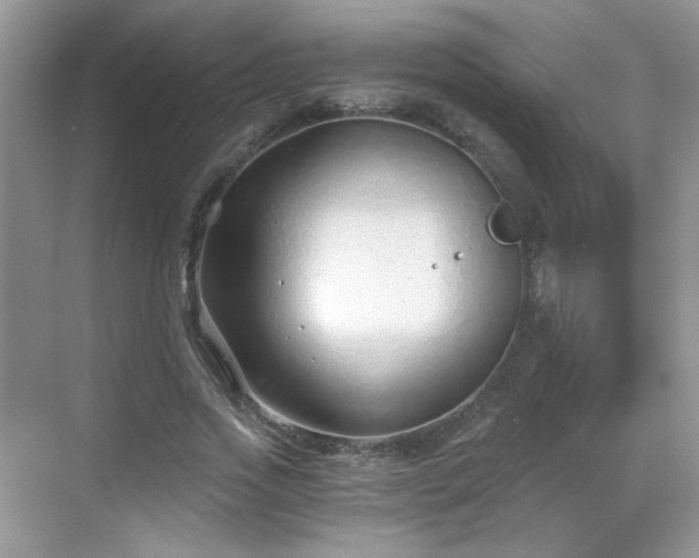 X0000068810733200605081119