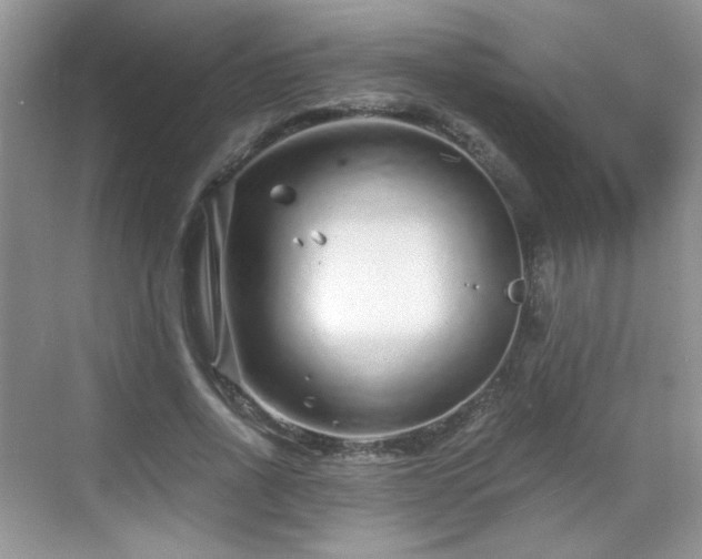 X0000068810734200605081119