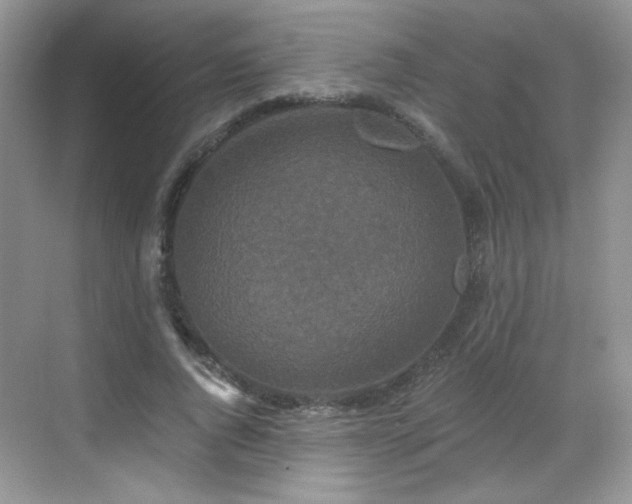 X0000068810736200605081119