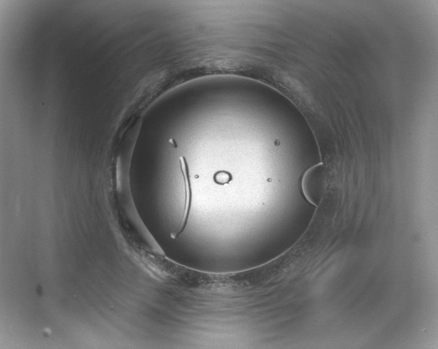 X0000068810738200605081119