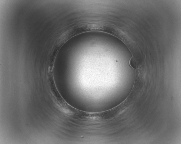 X0000068810741200605081119