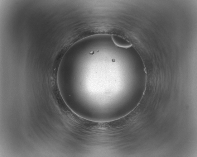 X0000068810743200605081119