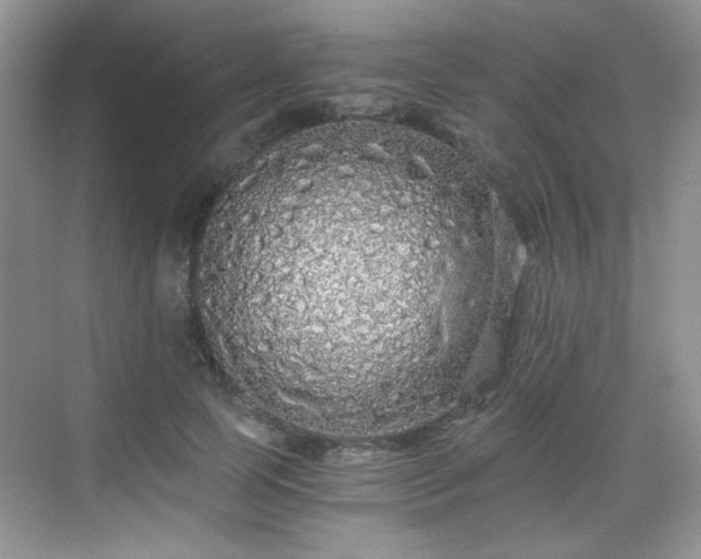 X0000068810745200605081119