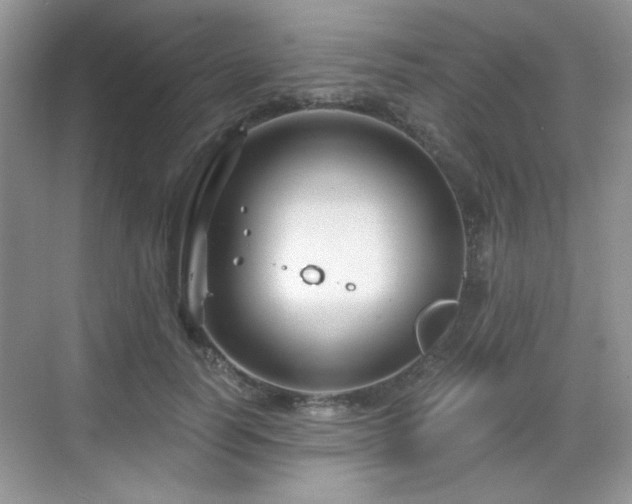 X0000068810746200605081119