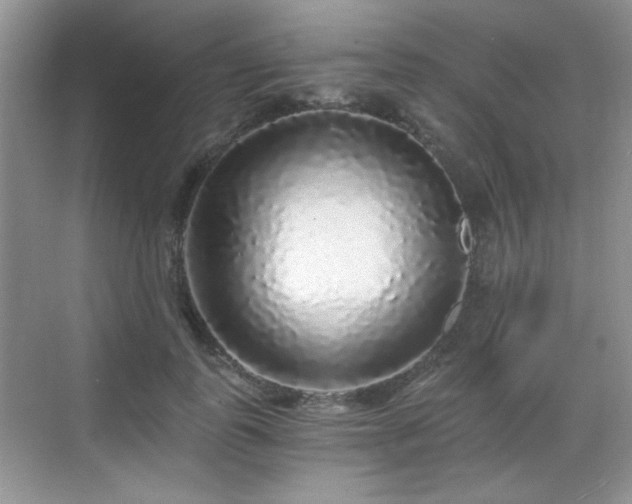 X0000068810747200605081119