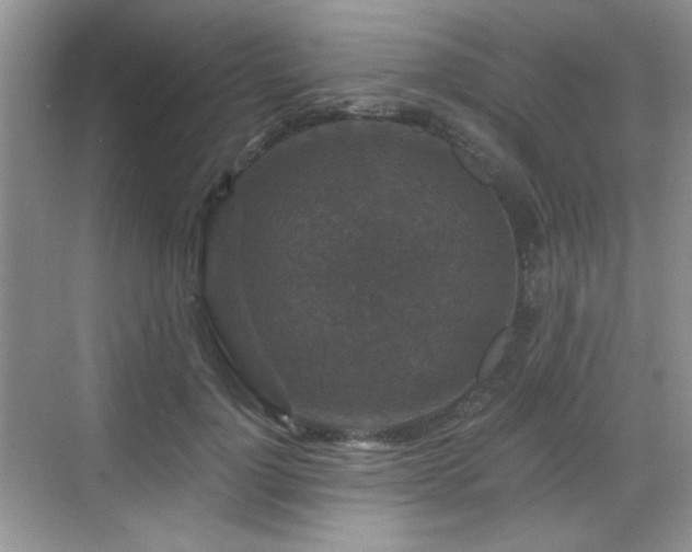 X0000068810748200605081119